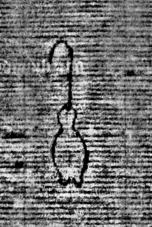 DE0960-Mlf387_151