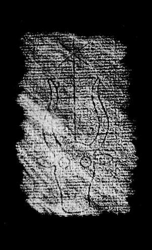 DE4860-Ms418_310