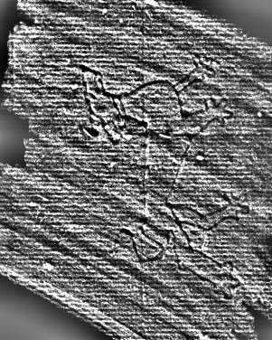 DE0960-Inc815.5a_b5