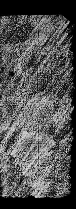 DE4860-Ms537_241