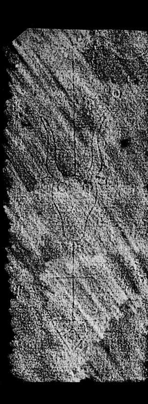 DE4860-Ms537_241