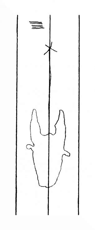 DE8310-Mc63_81