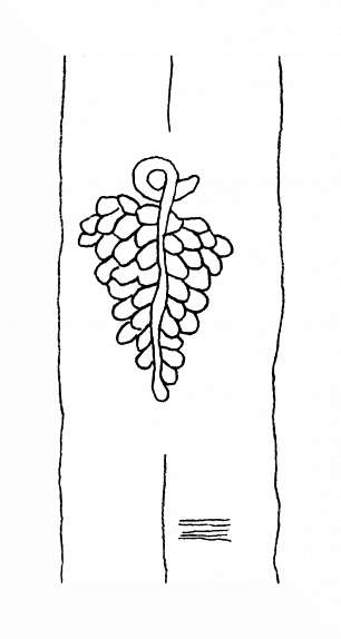DE8310-Mc16_264
