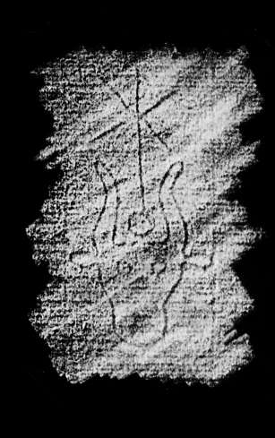 DE4860-Ms418_145