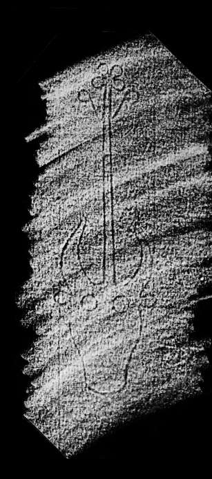 DE4860-Ms499_218