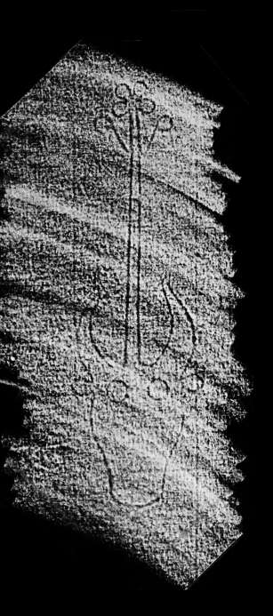 DE4860-Ms499_218