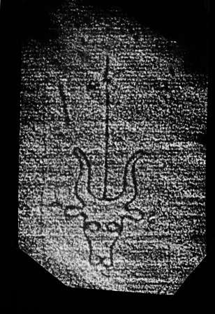 DE4860-Ms541_256