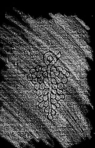 DE4860-Ms825_188