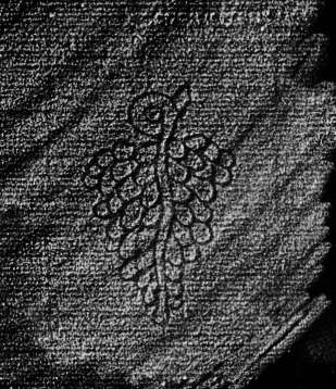 DE4860-Ms825_223