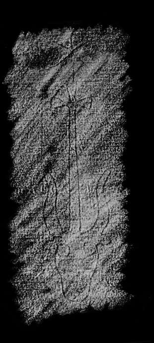 DE4860-Ms488_305