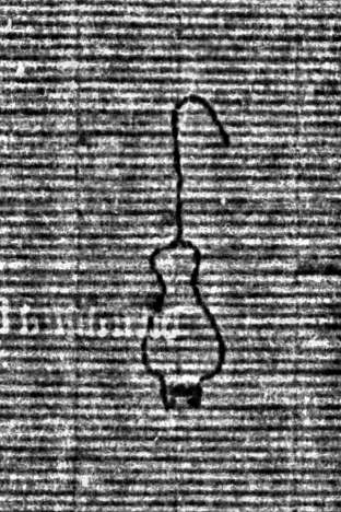 DE0960-Mlf387_149