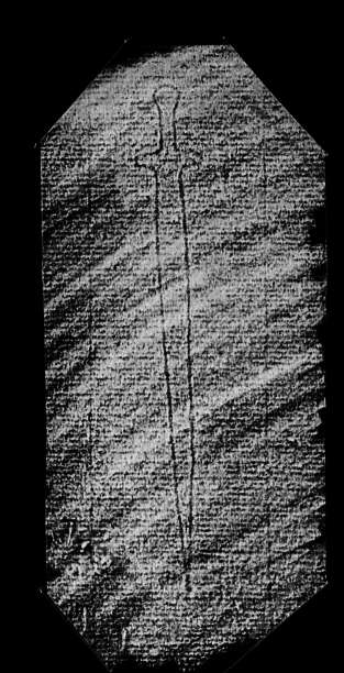 DE4860-Ms534_145