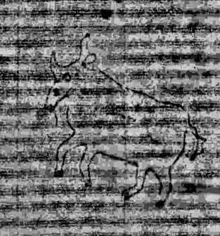 DE0960-Mlf246_2
