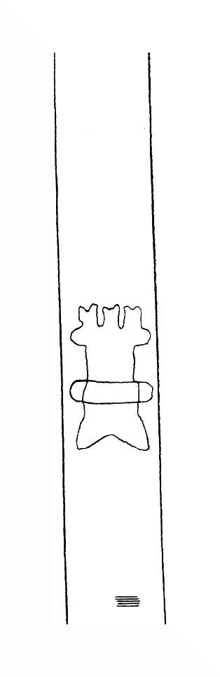 DE8310-Mc9_4