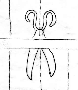 DE5580-Codgraec254_33