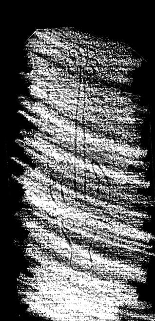 DE4860-Ms499_171