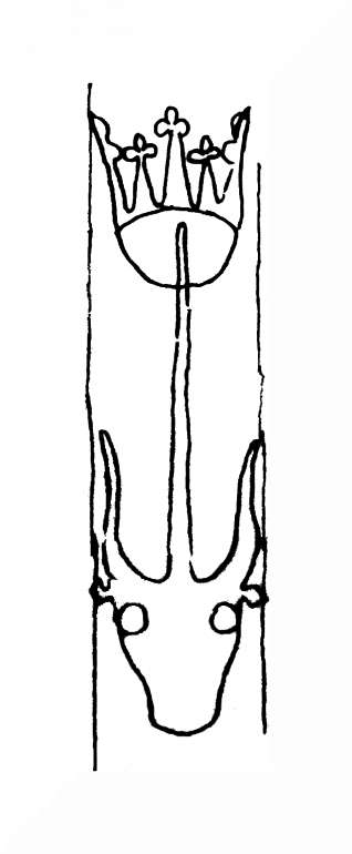 DE8100-IncFol6395_999m