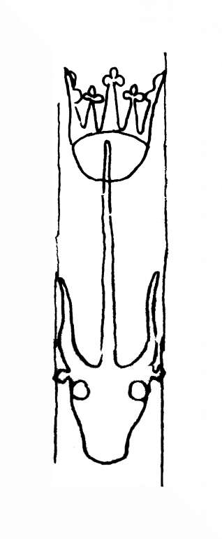 DE8100-IncFol6395_999m