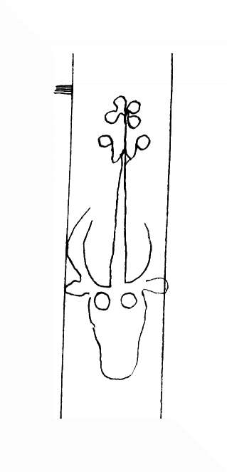 DE8310-Mc120_58
