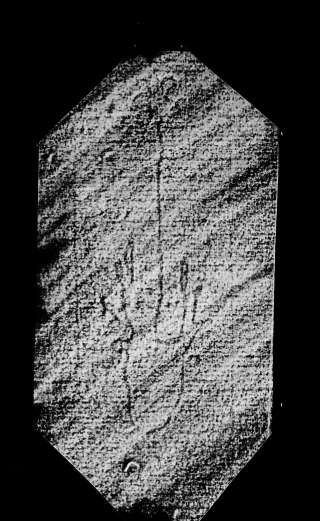 DE4860-Ms974_83