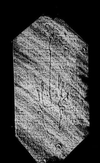 DE4860-Ms974_83