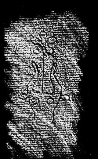 DE4860-Ms325_144