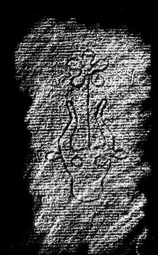 DE4860-Ms325_144