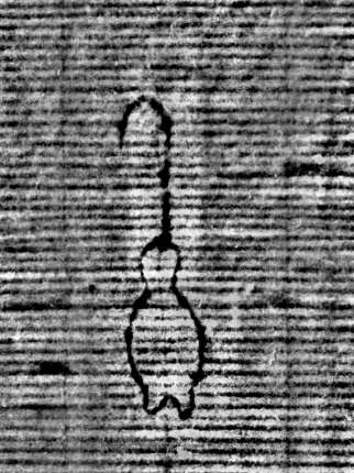 DE0960-Mlf387_132