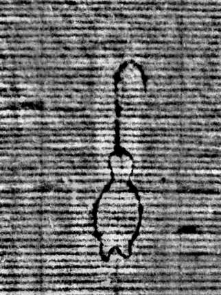 DE0960-Mlf387_132