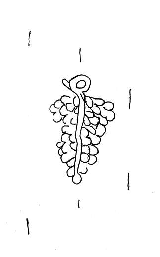 DE4860-Ms825_191