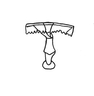 DE4860-Ms493_31