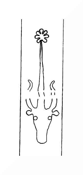 DE8310-Mc111_153