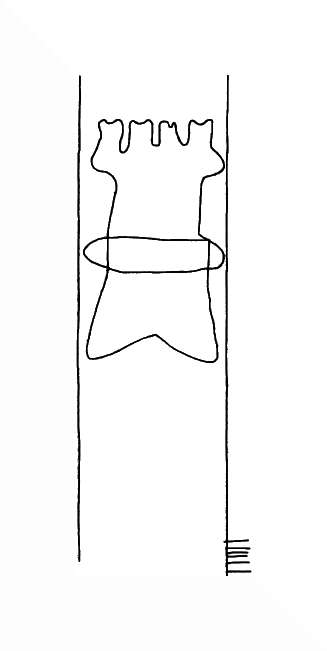 DE8310-Mc202_2