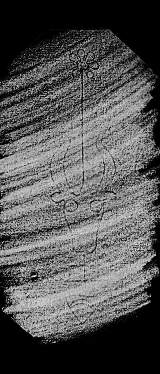 DE4860-Ms499_367