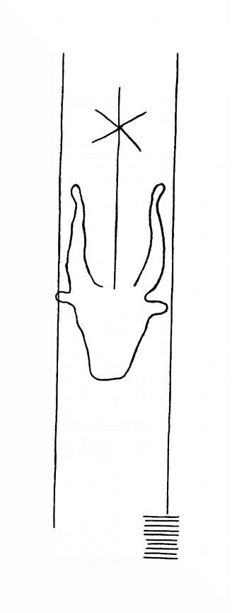 DE8310-Mc338_129