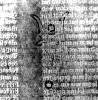 DE5580-2Incca1275_2b4