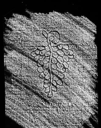DE4860-Ms825_237