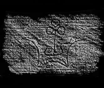 DE4860-Ms1471_12