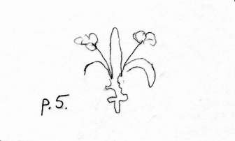 DE5580-Codgraec136_5