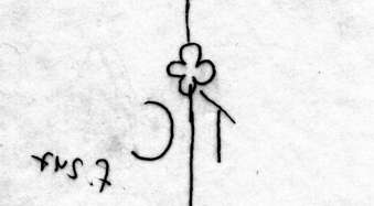DE5580-Codgraec195_247