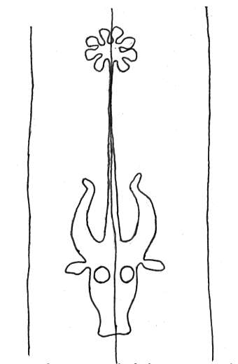 DE4860-Ms537_340
