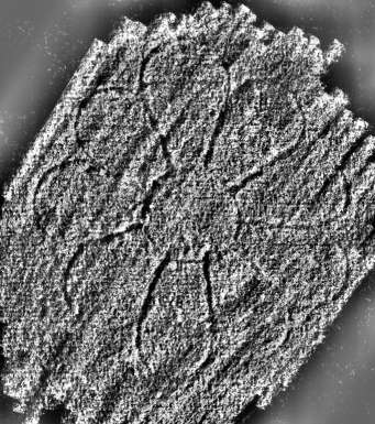 DE0960-2Inc2168_129
