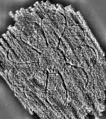 DE0960-2Inc2168_129