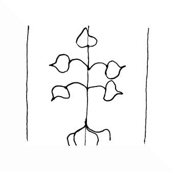 DE4200-Allerheiligen2_109
