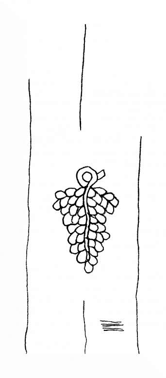 DE8310-Mc16_262