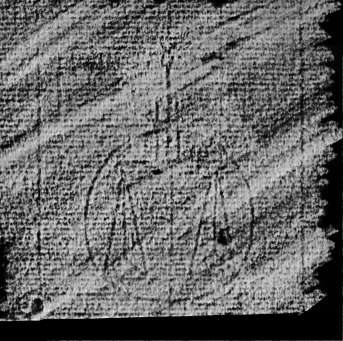DE4860-Ms249_3