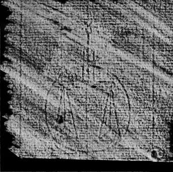 DE4860-Ms249_3