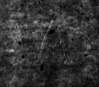 DE4815-DNB-L-WZ-0000259