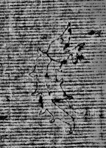 DE0960-Mlf387_75