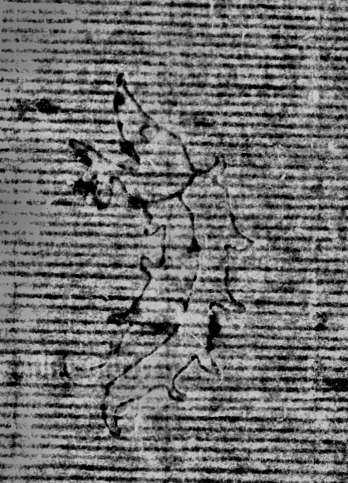 DE0960-Mlf387_75